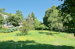 cadre de verdure